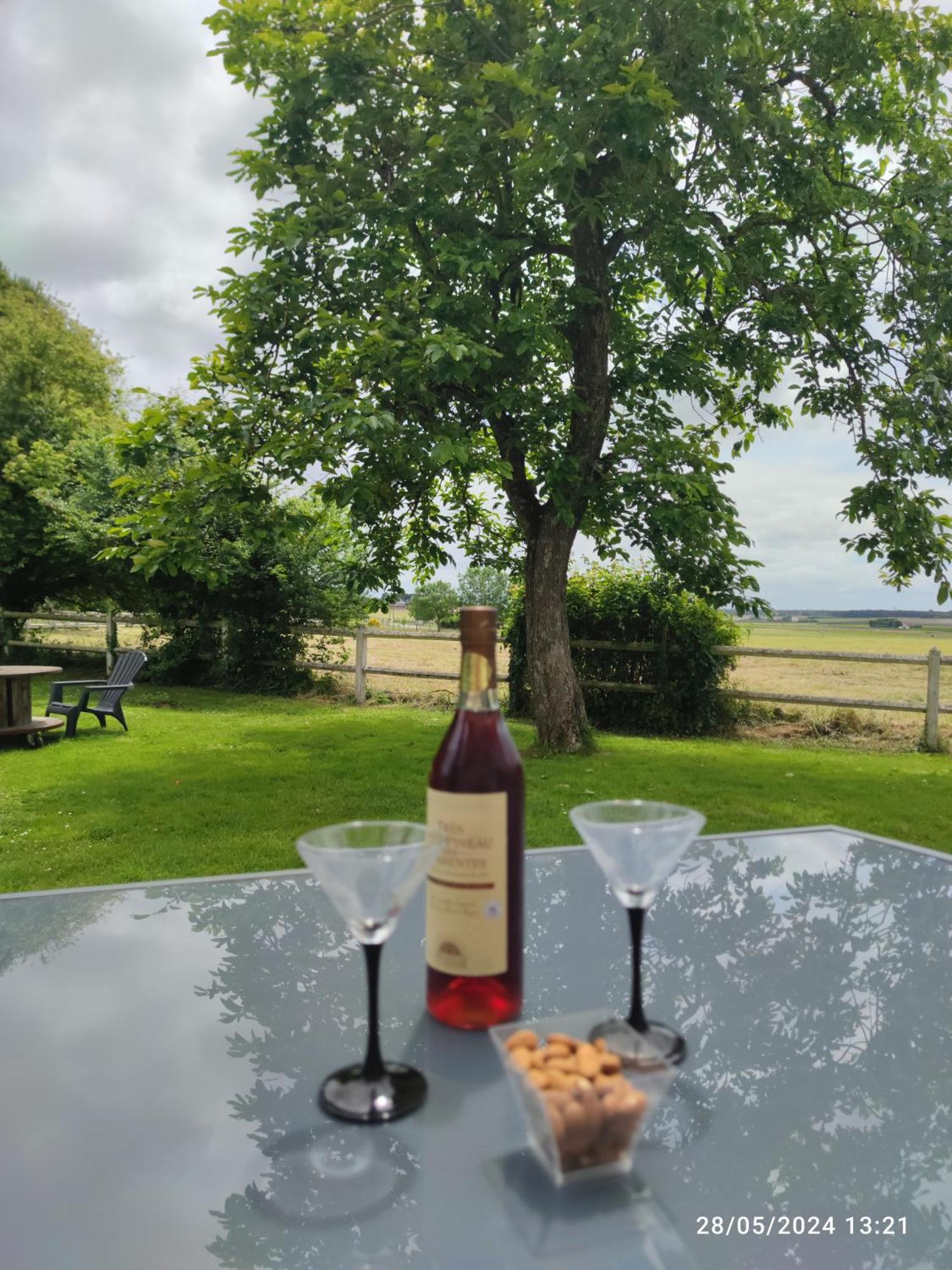 ArvertDomaine Du Galon D'Or别墅 外观 照片